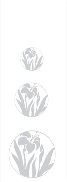 sticla
