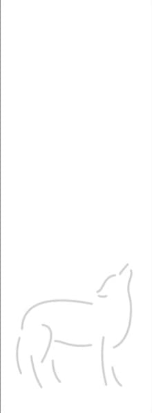 sticla