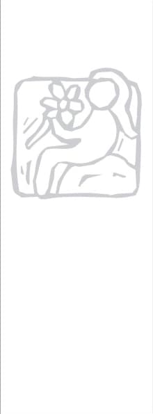 sticla