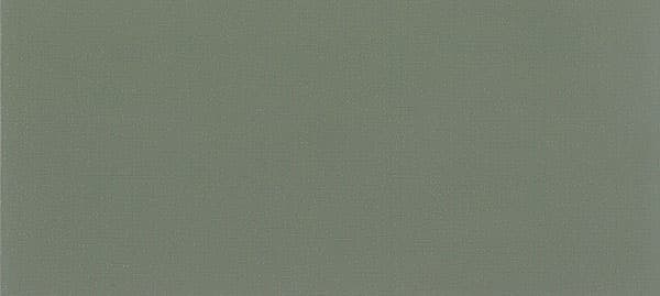 exampleColor